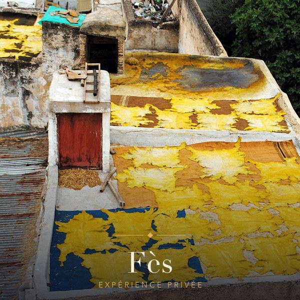 Fes