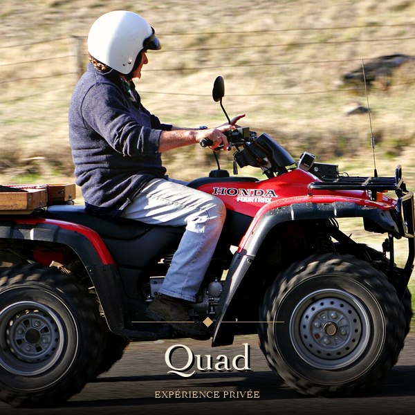 Quad biking in the desert